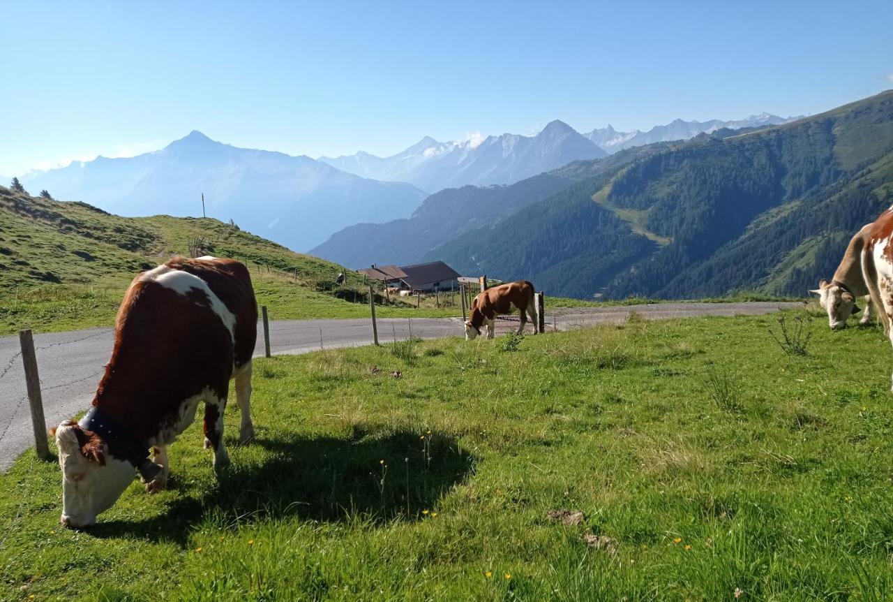 Apart Anna Mayrhofen Eksteriør bilde